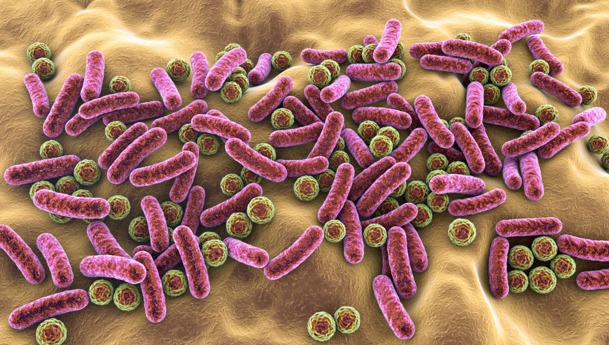 What is your Skin's Microbiome, and how can you keep it healthy?